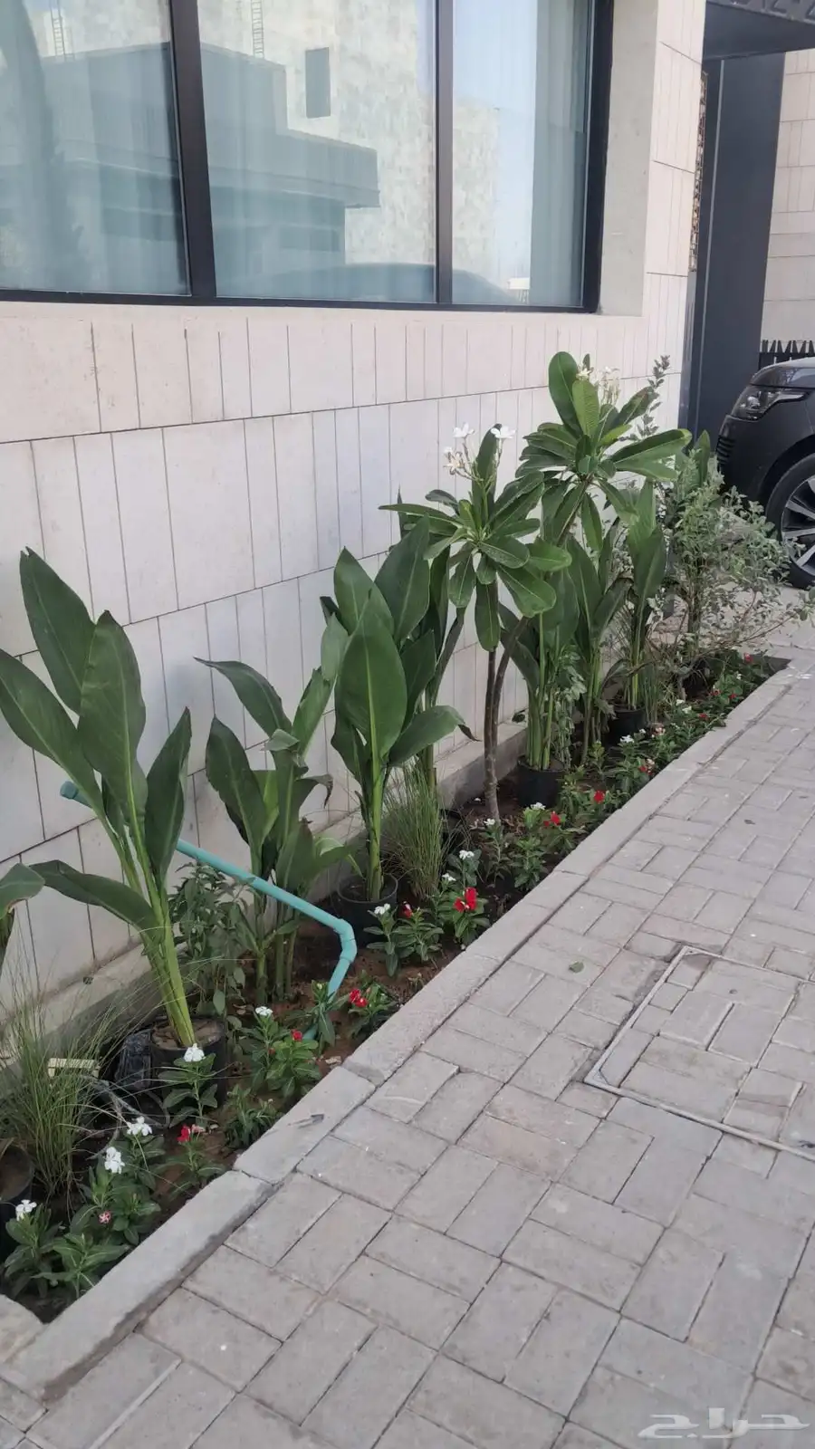 مشتل المطيري للزراعة وتنسيق الحدائق 3