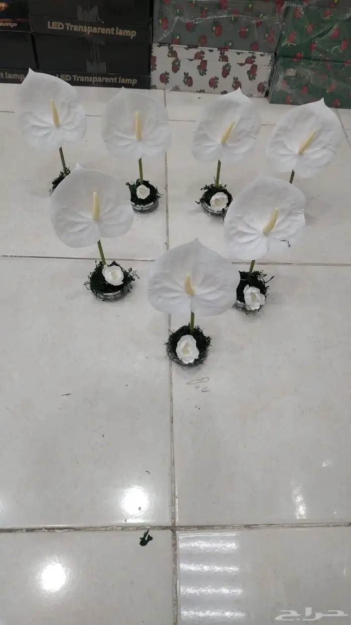 تجهيزات مناسبات 1