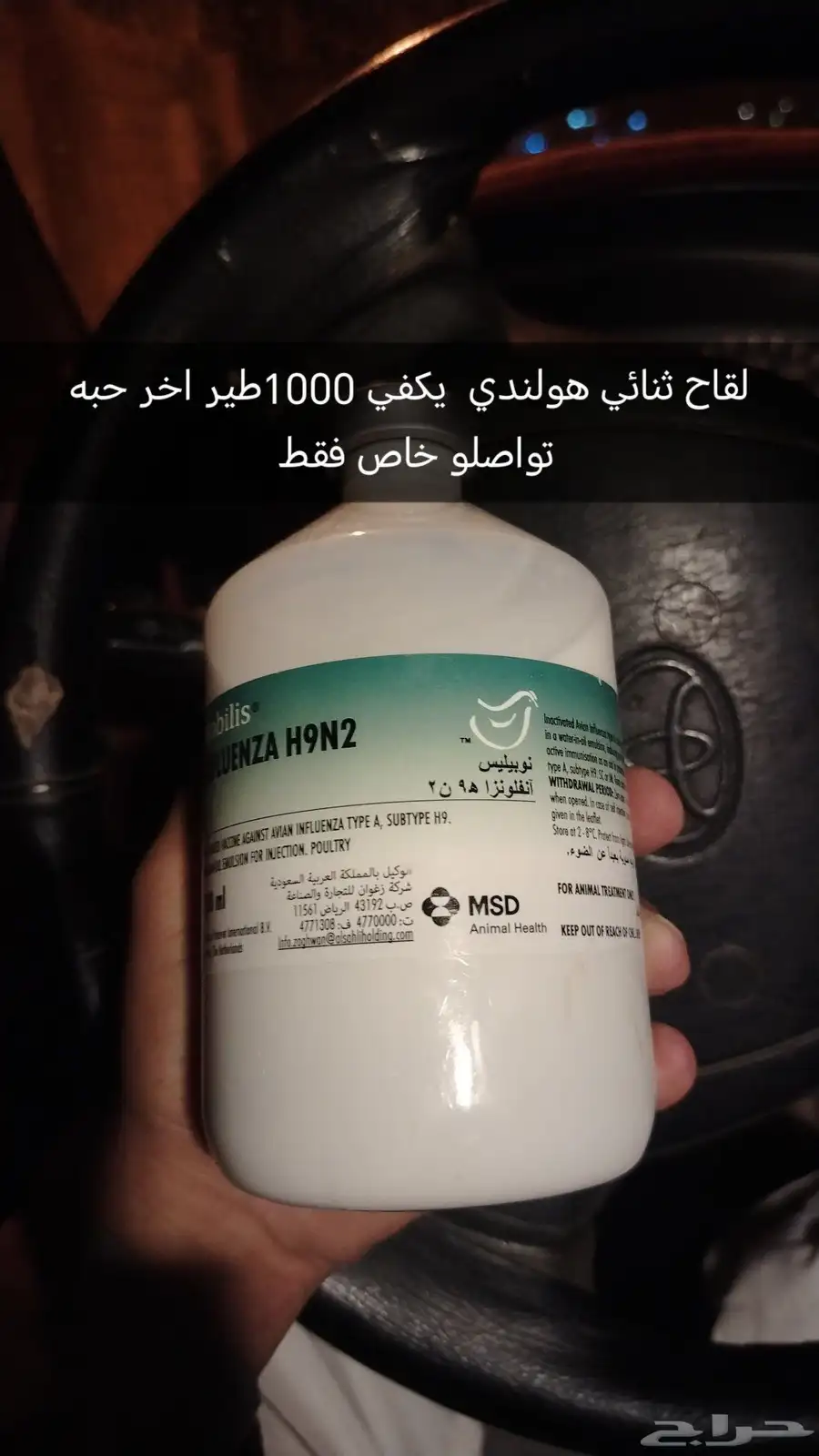 لقاح طيور وحيوانات هولندي 0