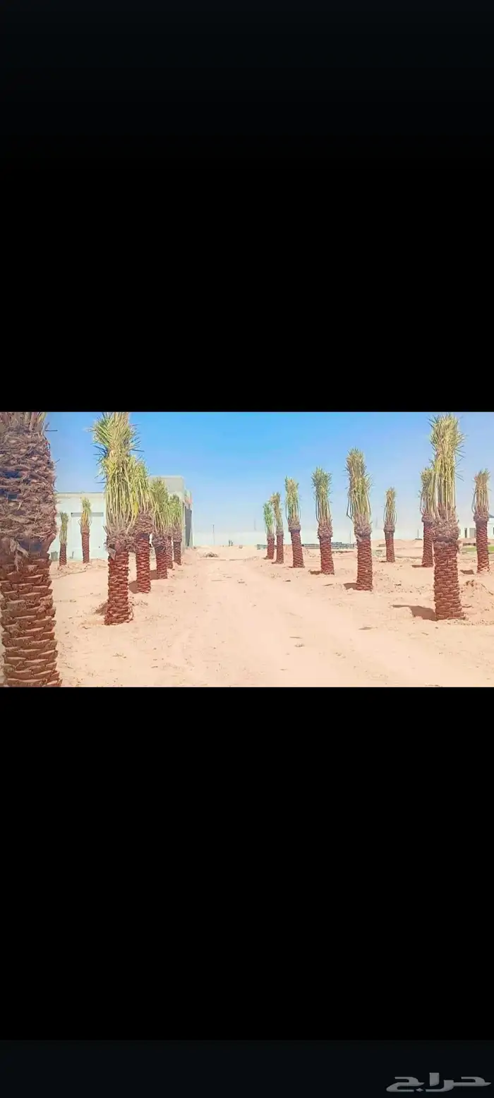 الشرقيه الدمام حفرالباطن جميع مناطق المملكة 6