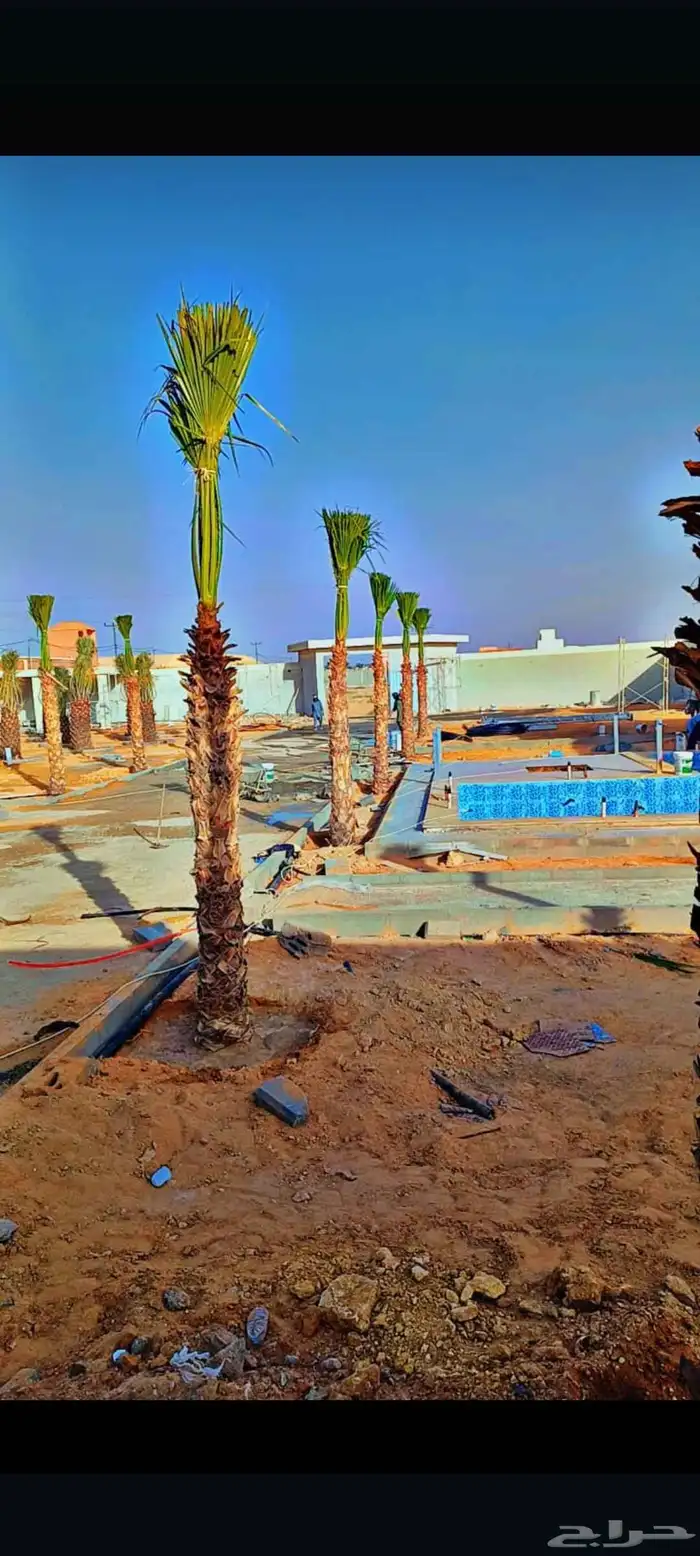 الشرقيه الدمام حفرالباطن جميع مناطق المملكة 7