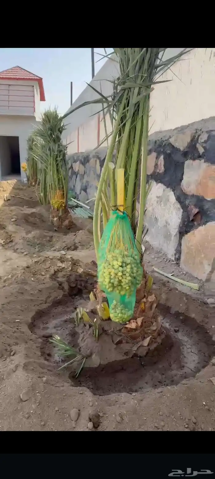 الشرقيه الدمام حفرالباطن جميع مناطق المملكة 1