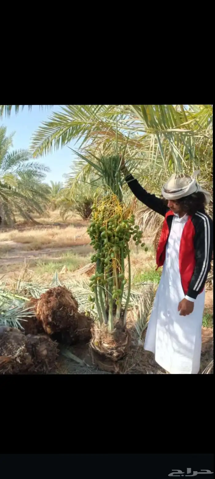 الشرقيه الدمام حفرالباطن جميع مناطق المملكة 2