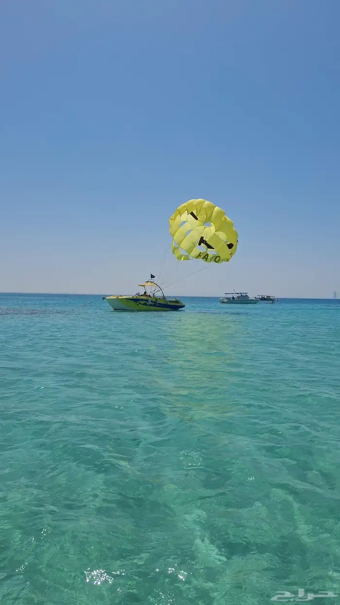 طلعات بحر جدة جزيرة بياضة 2