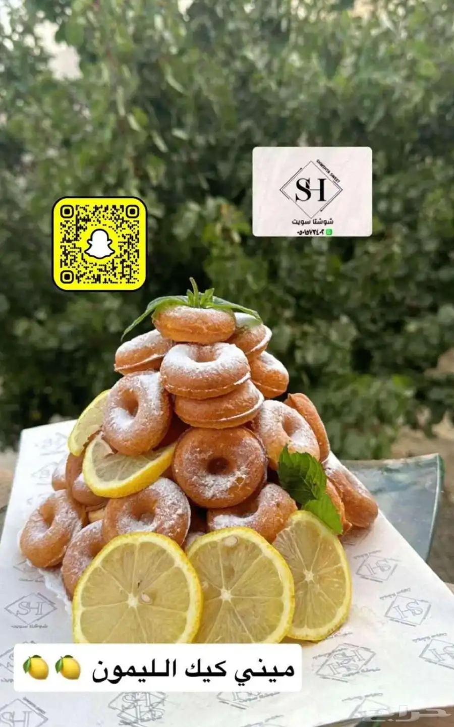 شوشتا سويت 3