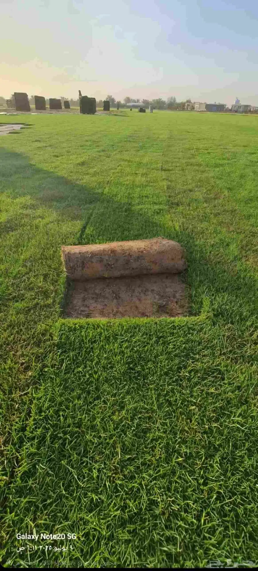 ثيل طبيعي نجيله سي2000 صافي درجة أولى من المزرعه مباشرة 0