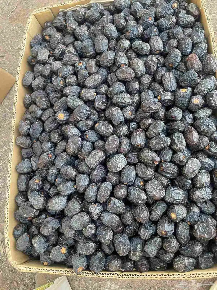 السلام عليكم ورحمة الله وبركاته يوجد الدينا عجوه كميه مفتوحه 0