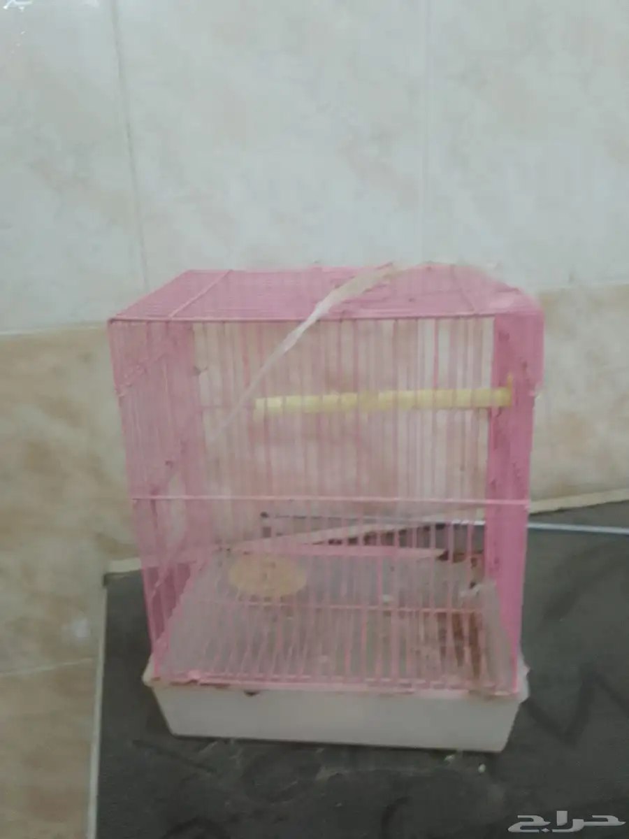 قفص حق طيور 0