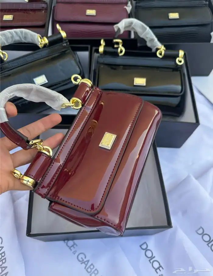 شنط دولتشي جبانا مع الملحقات 3