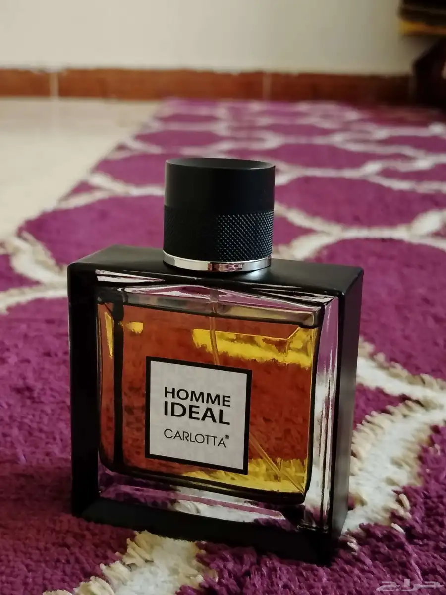 عطر كارلوتا هوم إيديال رجالي بسعر منخفض جدا 0