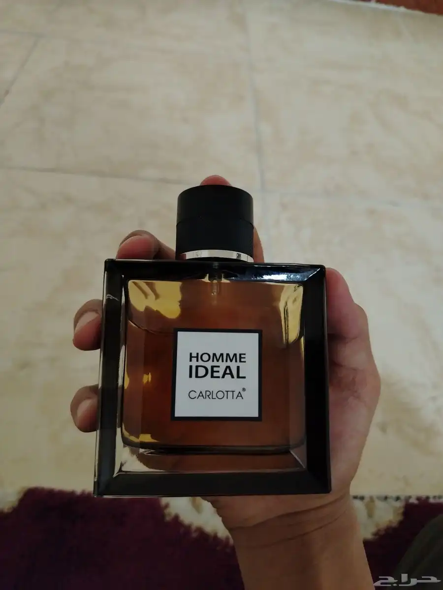 عطر كارلوتا هوم إيديال رجالي بسعر منخفض جدا 1