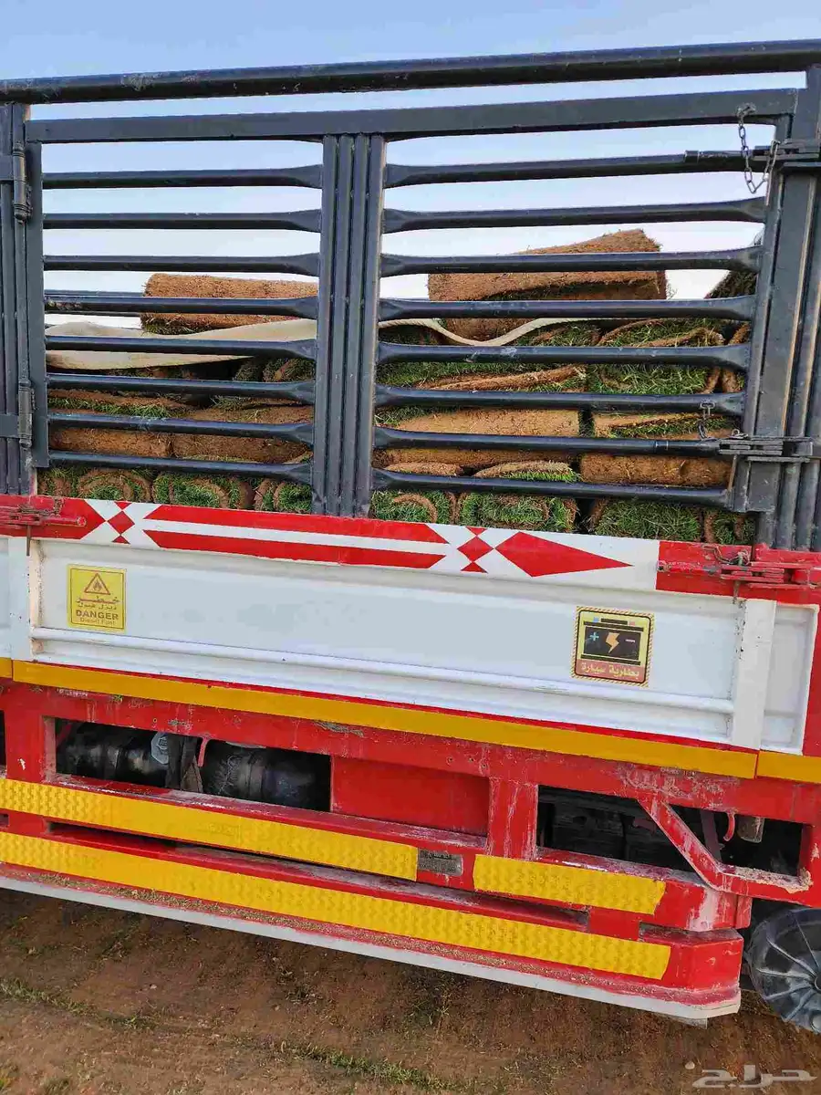 ثيل طبيعي نجيله سي2000 صافي درجة أولى من المزرعه مباشرة 7