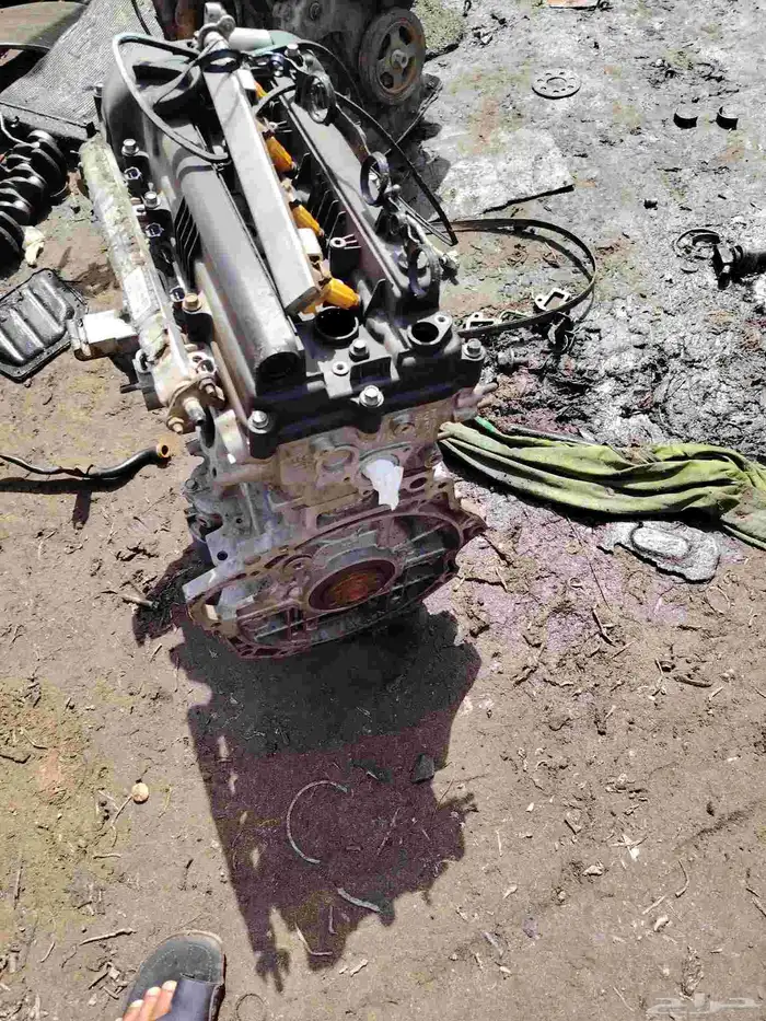 مكائن سيراتو ريو ضمان شهرين 3