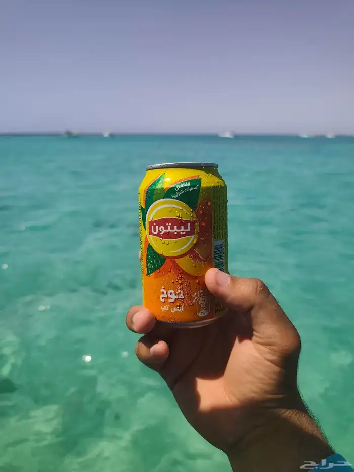 تاجير قوارب بياضه 3