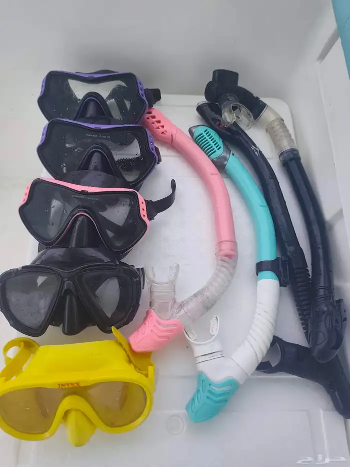 تاجير قوارب بياضه 4