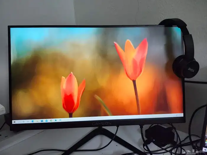 Gameon 24 Inch LCD 0