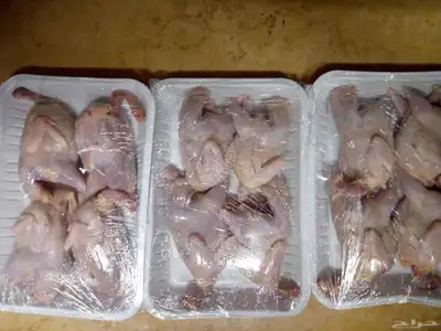 سمان ذبح 0