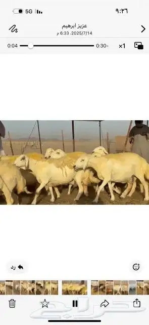غنم حريات حرش دفيع شرط سونار 1