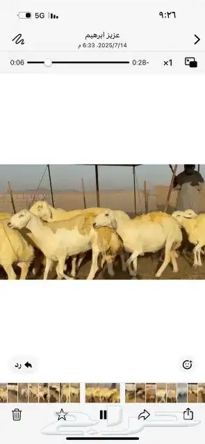 غنم حريات حرش دفيع شرط سونار 2