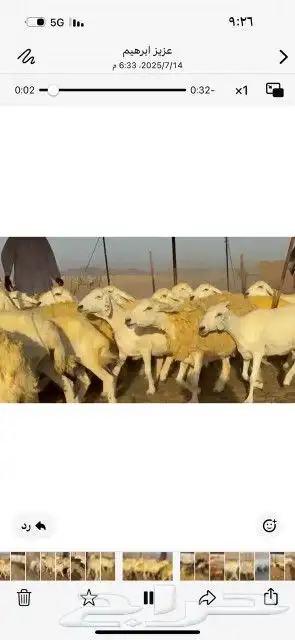 غنم حريات حرش دفيع شرط سونار 0