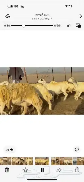 غنم حريات حرش دفيع شرط سونار 6