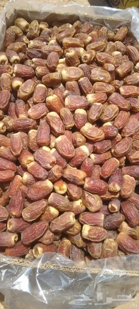 صقعي لبيع الكميه 17طن مجود في الدلم 3