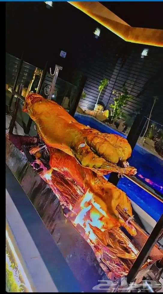 خروف مشوي على الجمر بالطريقة العثمانية 49