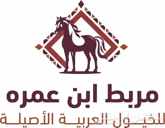مصمم محترف للشعارات والهويات والمنيوهات والبوسترات 12