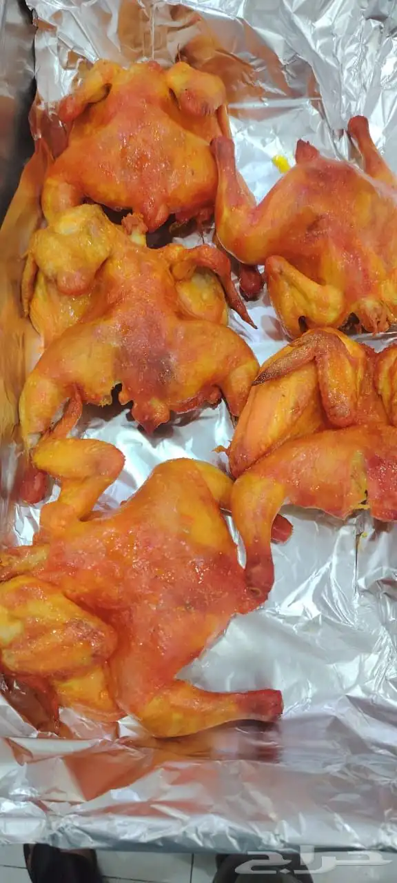 طباخ مندي حفريبحث عن عمل 4