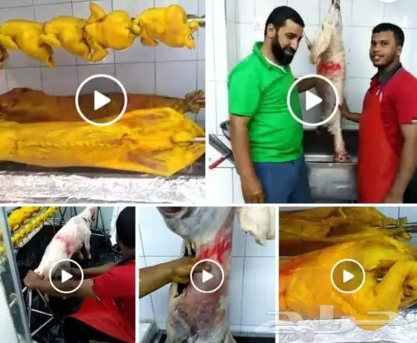 خروف مشوي على الجمر بالطريقة العثمانية 1