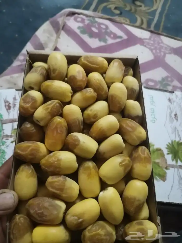 رطب خلاص طيب 2