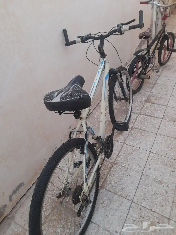 سيكلين للبيع اصليات ب 500 ريال 6