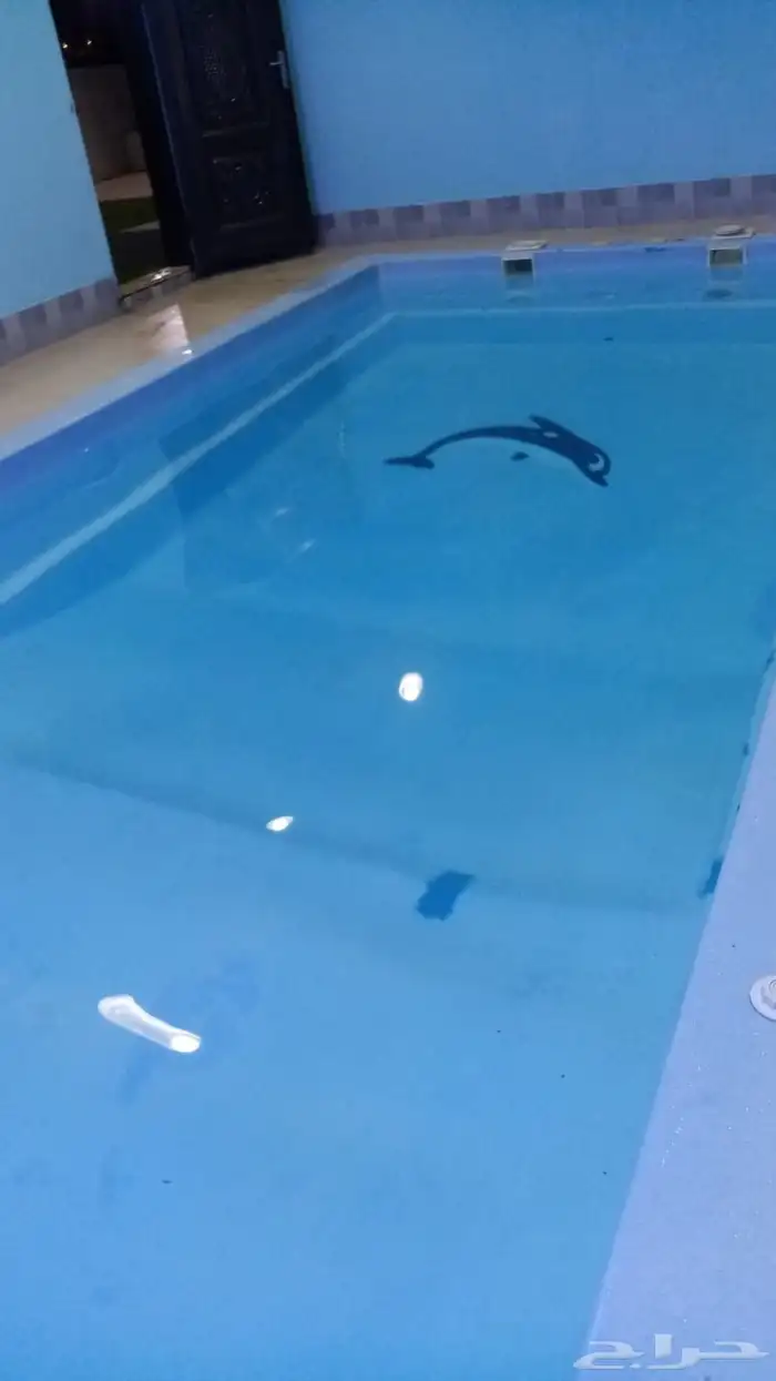 مسبح 4x8 للبيع 3