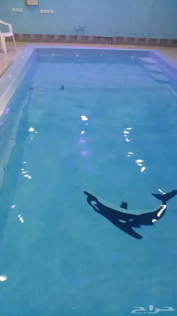 مسبح 4x8 للبيع 0