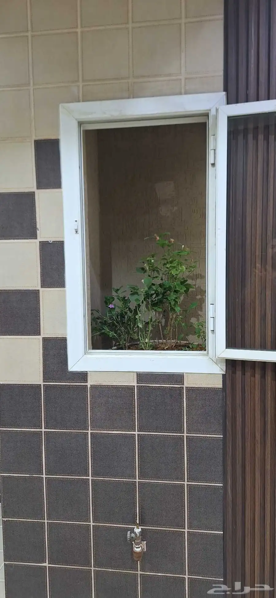 شقة غرفة واحدة ومطبخ وصالة كبيرة ودورة مياهOne-room apartmen 4