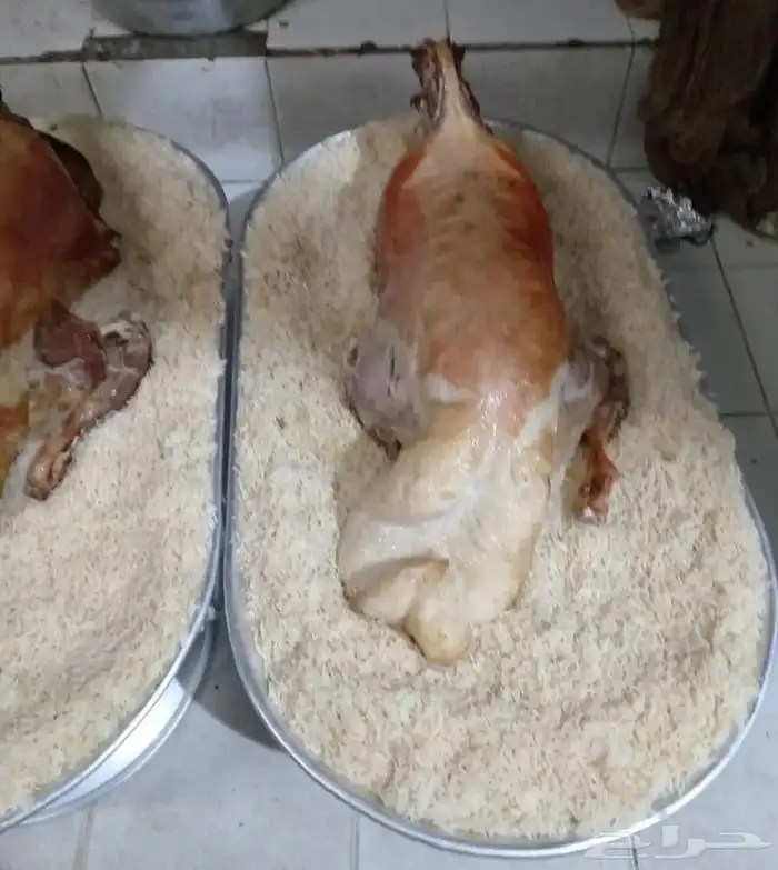 طباخ مندي حفريبحث عن عمل 3