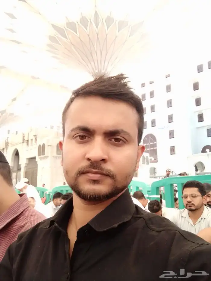 معلم بيدزا 0