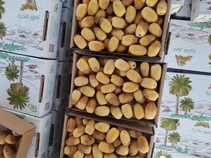 رطب خلاص فاخر 5