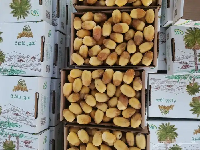 رطب خلاص فاخر 4