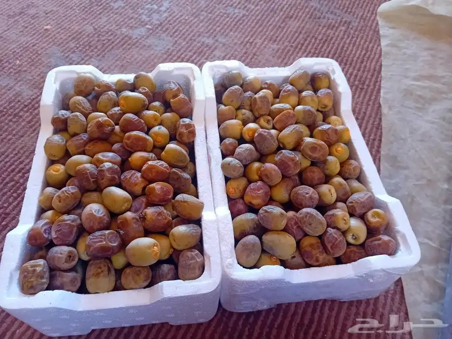 رطب روثانه بدون اظافة اسمده ولامبيدات يعلم الله طبيعي 1