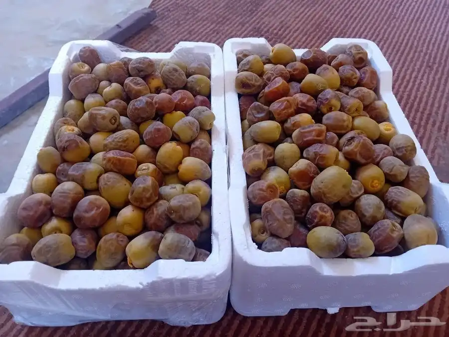 رطب روثانه بدون اظافة اسمده ولامبيدات يعلم الله طبيعي 0
