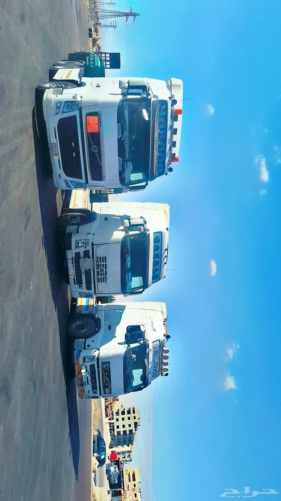 لوبد متواجد بالقريات 0