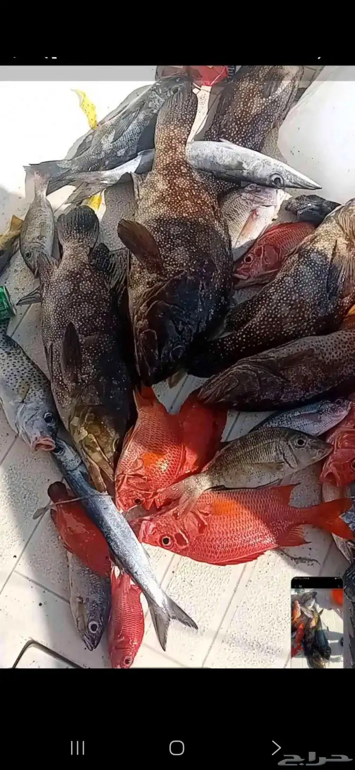 رحلات بحريه 1