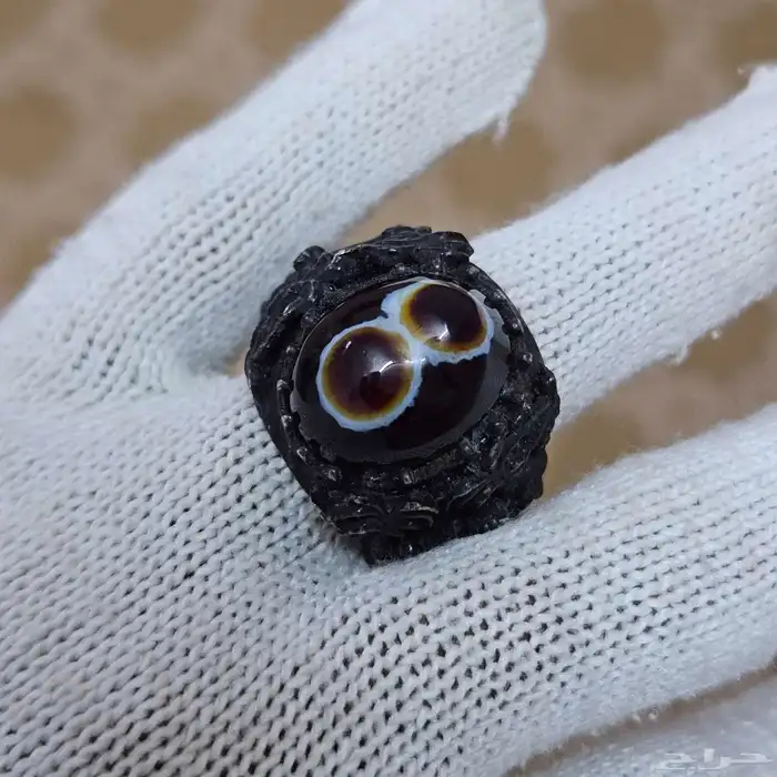 تم البيع - سليماني افريقي مميز 5