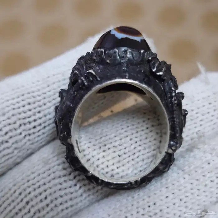 تم البيع - سليماني افريقي مميز 8