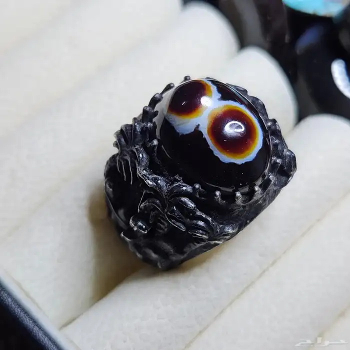 تم البيع - سليماني افريقي مميز 0