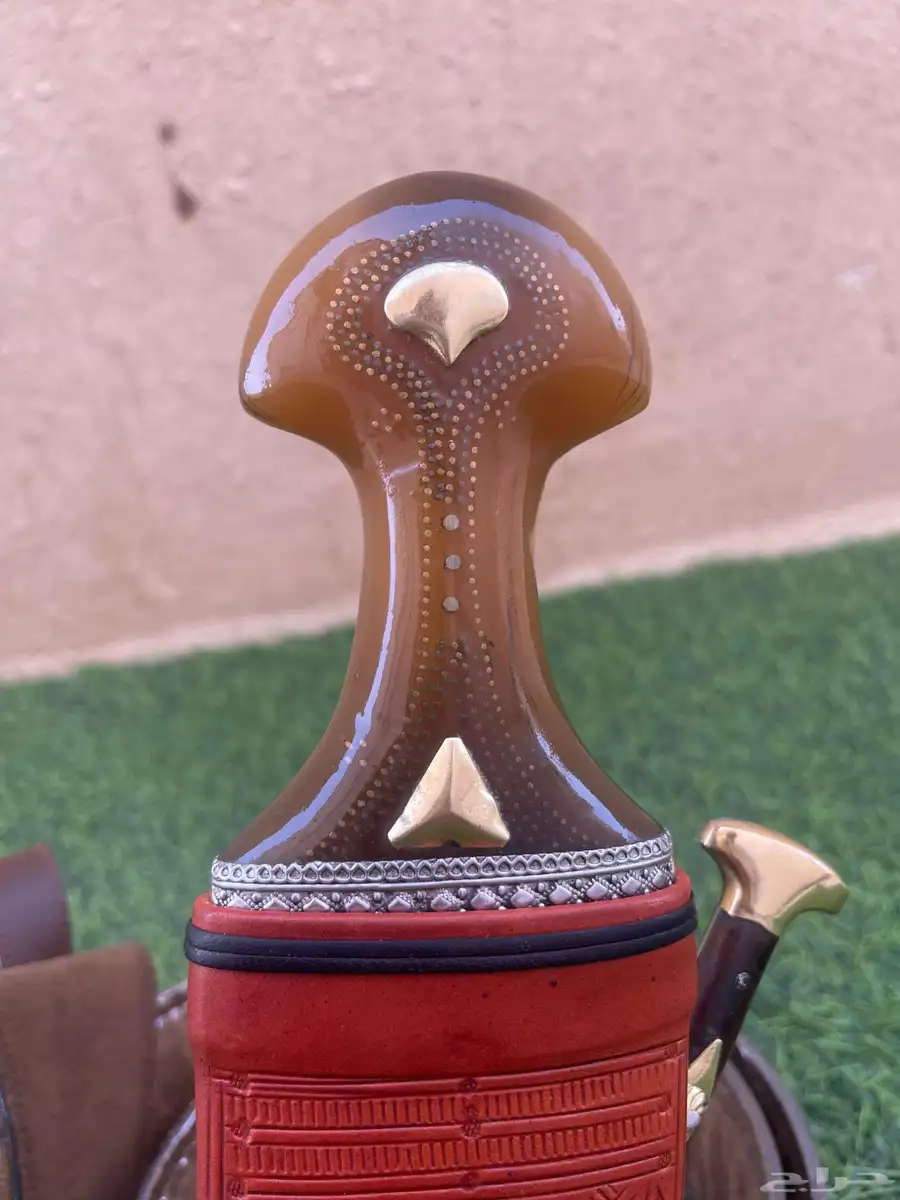 جنبيه حك زراف 2