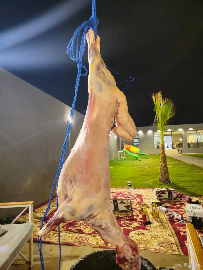 شوي خارجي معلم مشاوي 0
