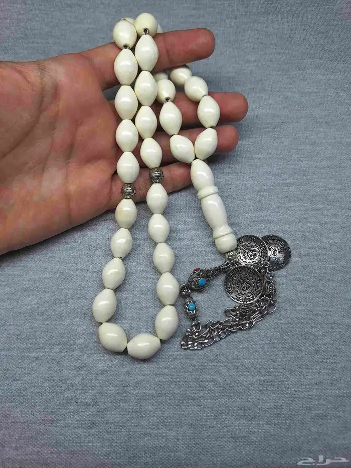 عظم جمل راهي 0