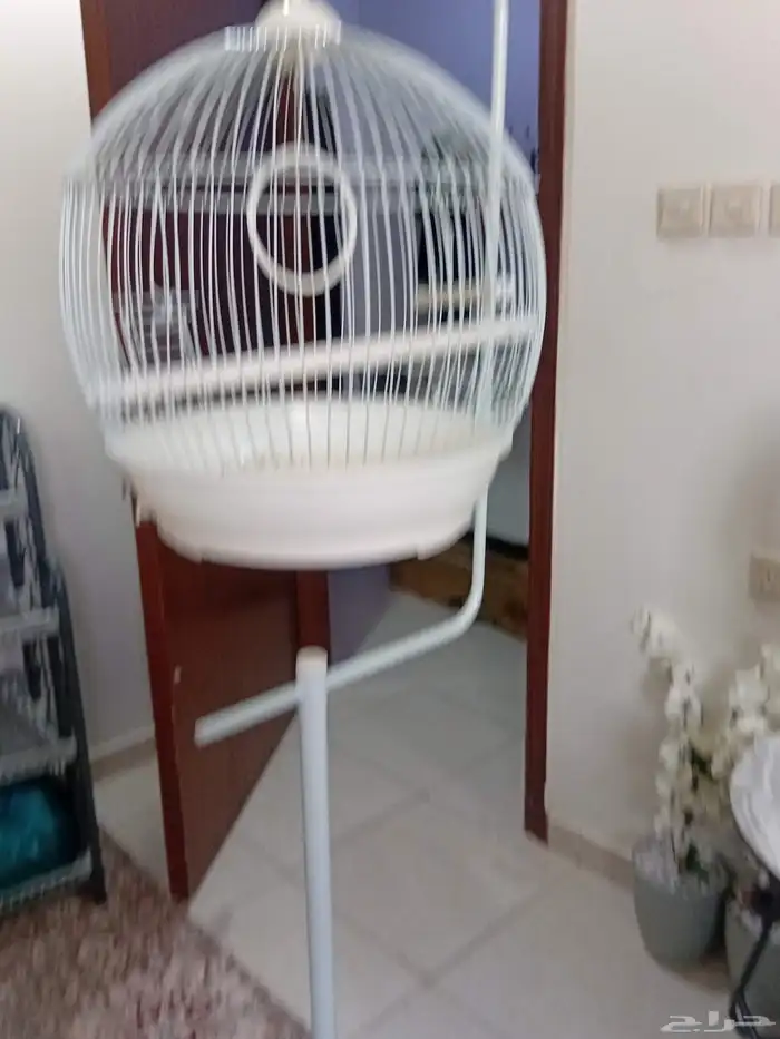 قفص ابيض للطيور شبه جديد 0